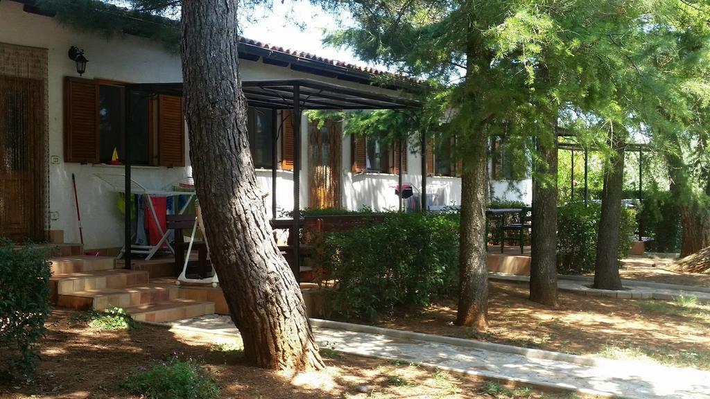 Sanja Apartments Sveti Servul Novigrad  Zewnętrze zdjęcie