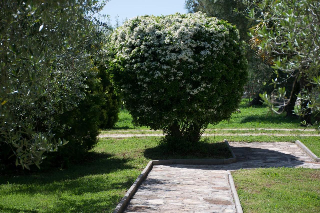 Sanja Apartments Sveti Servul Novigrad  Zewnętrze zdjęcie